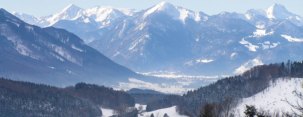Holzleitnerhof