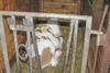 Holzleitnerhof - Impressionen Bauernhof und Kinderparadies
